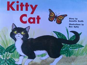 (image for) Rigby PM Plus Story Books Level 3 Kitty Cat (P) by Annette Smith