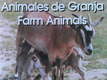 Animales de Granja / Farm Animals (P) (image for) Animales de Granja / Farm Animals (P)