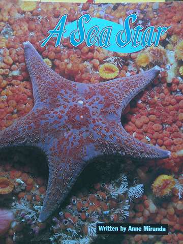 (image for) Ready Readers Stage 2 A Sea Star (P) by Anne Miranda