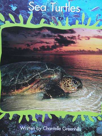 (image for) Springboard Level L Sea Turtles (P) by Chantelle Greenhills