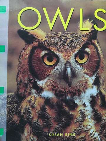 (image for) Discovery Links Fluent Level Owls (P) by Susan Ring