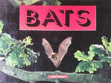 (image for) Literacy 2000 Bats (P) by Anne Gordon