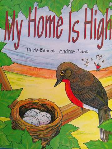 (image for) Literacy 2000 Satellites My Home Is High (P) by David Bennet