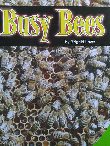 (image for) SRA Leveled Readers 2 Busy Bees (P) by Brighid Lowe