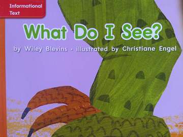 (image for) CCSS PreK What Do I See? (P) by Wiley Blevins