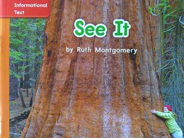 (image for) CCSS PreK See It (P) by Ruth Montgomery