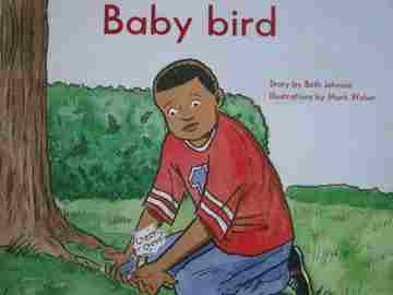 (image for) King School Series Baby Bird (P) by Beth Johnson