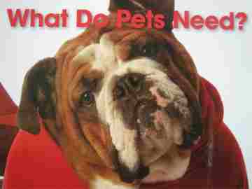 (image for) Early Connections What Do Pets Need? (P) by Burton, French, & Jones