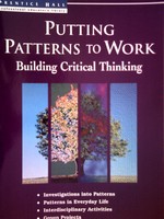 (image for) Putting Patterns to Work Building Critical Thinking (P)