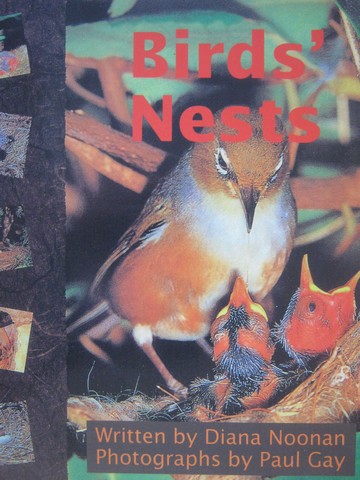 (image for) Wonder World Birds' Nests (P) by Diana Noonan