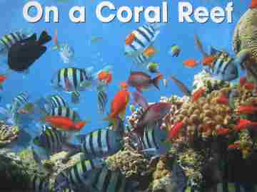 (image for) Early Explorers On a Coral Reef (P) by Cynthia Swain