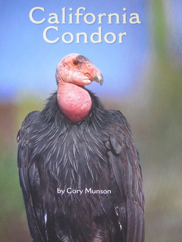 (image for) Leveled Reader Library 3 California Condor (P) by Cory Munson