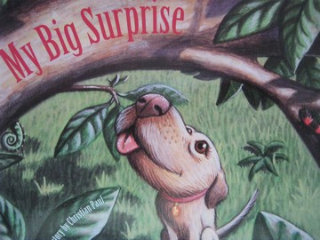 (image for) Instant Readers 2 My Big Surprise (P) by Christian Paul