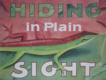 (image for) Instant Readers 2 Hiding in Plain Sight (P) by Paul Fehlner