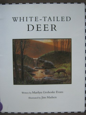(image for) Read-Along White-Tailed Deer (P) by Marilyn Grohoske Evans