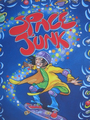 (image for) Wildcats Lion Space Junk (P) by Ann-Marie Heffernan