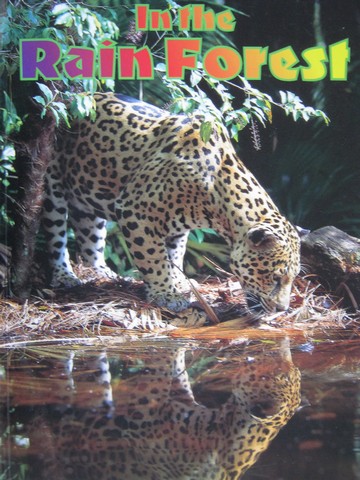 (image for) Wildcats Leopard In the Rain Forest (P) by Elizabeth Hookings