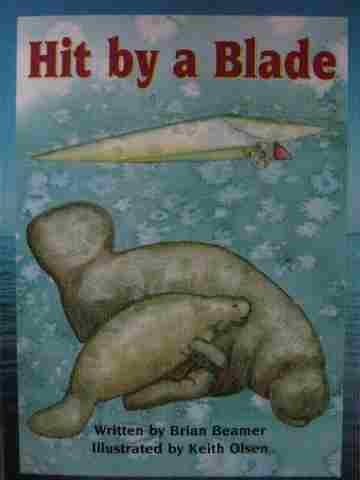 (image for) Foundations Take 2 Books Hit by a Blade (P) by Brian Beamer