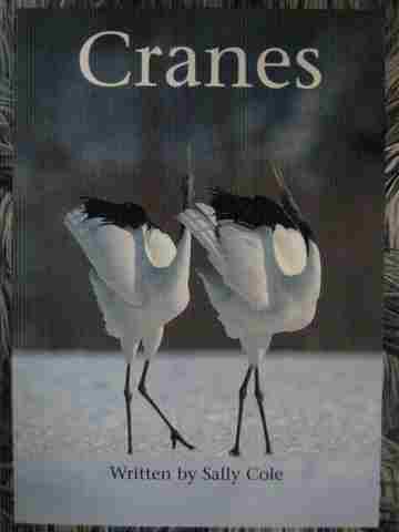 (image for) Foundations Take 2 Books M Cranes (P) by Sally Cole