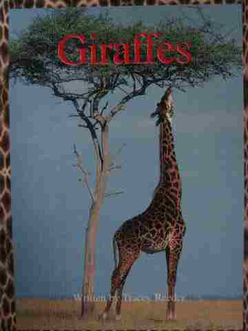 (image for) Foundations Take 2 Books N Giraffes (P) by Tracey Reeder