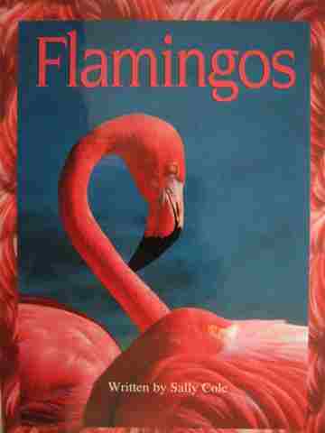 (image for) Foundations Take 2 Books Flamingos (P) by Sally Cole