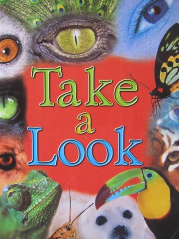 (image for) Wildcats Cougar Take a Look (P) by Erin Hanifin