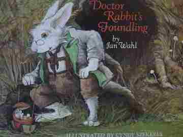 (image for) Doctor Rabbit's Foundling (H) by Jan Wahl