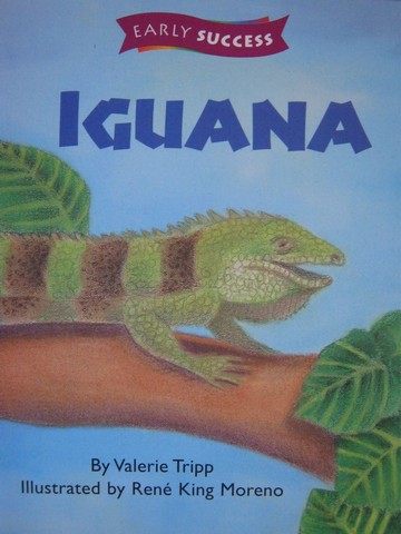 (image for) Early Success 1 Iguana (P) by Valerie Tripp