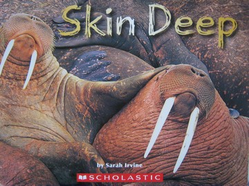 (image for) Brain Bank 4 Skin Deep (P) by Sarah Irvine