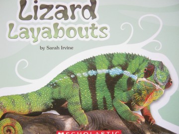(image for) Brain Bank 4 Lizard Layabouts (P) by Sarah Irvine