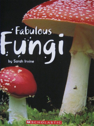 (image for) Brain Bank 4 Fabulous Fungi (P) by Sarah Irvine