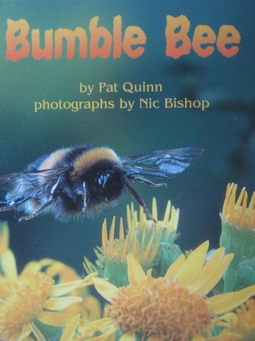 (image for) Pacific Literacy Bumble Bee (P) by Pat Quinn