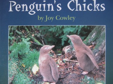(image for) Pacific Literacy Penguin's Chicks (P) by Joy Cowley
