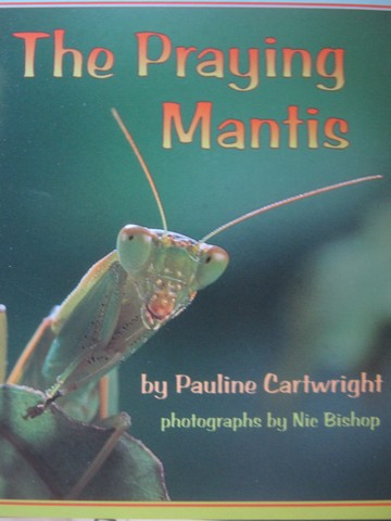 (image for) Pacific Literacy The Praying Mantis (P) by Pauline Cartwright