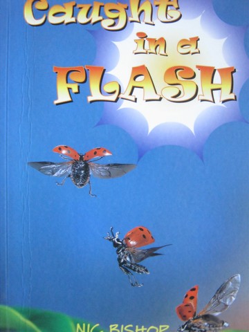 (image for) Orbit Chapter Books Caught in a Flash (P) by Nic Bishop