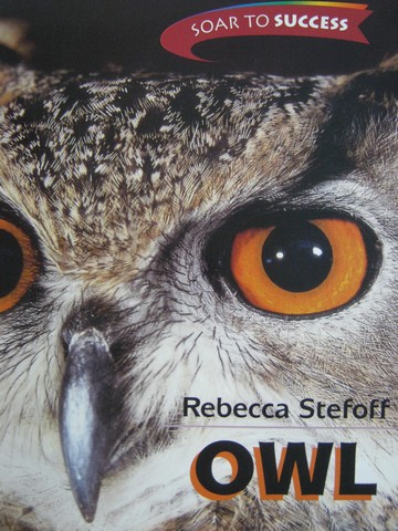 (image for) Soar to Success 8 Owl (P) by Rebecca Stefoff
