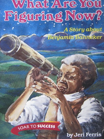 (image for) Soar to Success 8 What Are You Figuring Now? (P) by Jeri Ferris