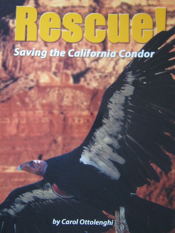 (image for) Rescue! Saving the California Condor (P) by Carol Ottolenghi