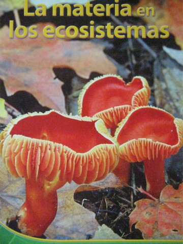 (image for) Apoyar el capitulo 4 La materia en los ecosistemas (P)