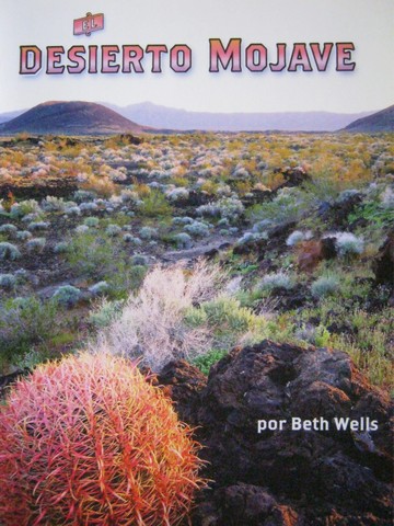 (image for) El desierto Mojave 4 (P) by Beth Wells