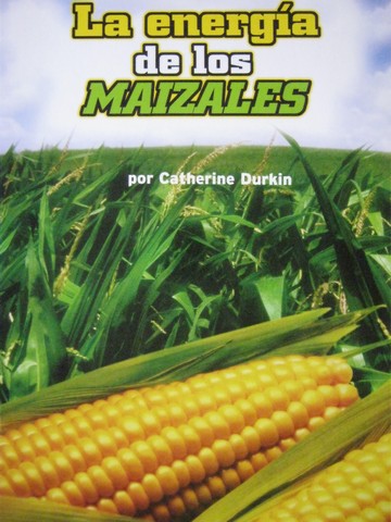 (image for) La energia de los maizales 4 (P) by Catherine Durkin