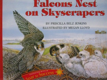 (image for) Soar to Success Falcons Nest on Skyscrapers (P) by Jenkins