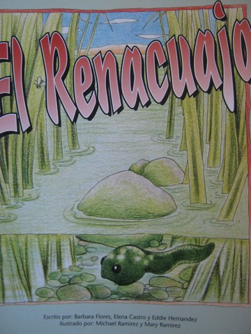 (image for) Pinata El Renacuajo (P) by Flores, Castro, & Hernandez