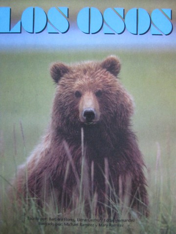 (image for) Pinata Los osos (P) by Flores, Castro, & Hernandez