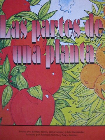 (image for) Pinata Las partes de una planta (P) by Flores, Castro,