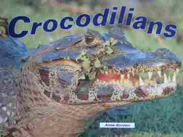 (image for) Literacy 2000 Crocodilians (P) by Anne Gordon