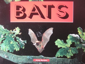 (image for) Literacy 2000 Bats (P) by Anne Gordon