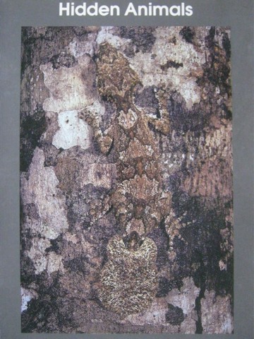 (image for) Informazing! Hidden Animals (P) by David Drew