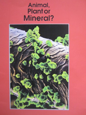 (image for) Informazing! Animal Plant or Mineral? (P) by David Drew