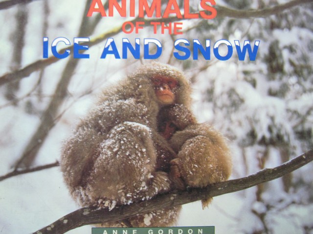 (image for) Literacy 2000 Animals of the Ice & Snow (P) by Anne Gordon